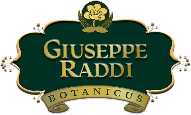 Logo Giuseppe Raddi